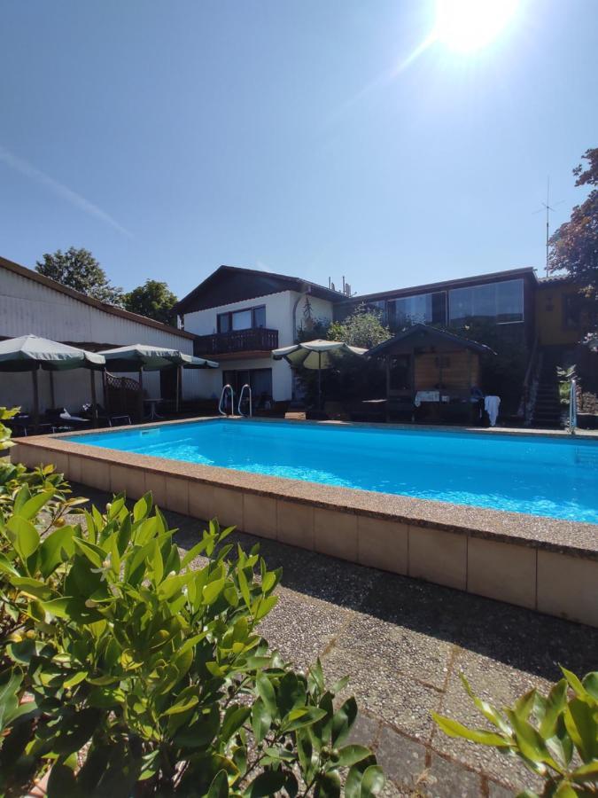 温特里希Moselferienweingut Schaefer公寓 外观 照片
