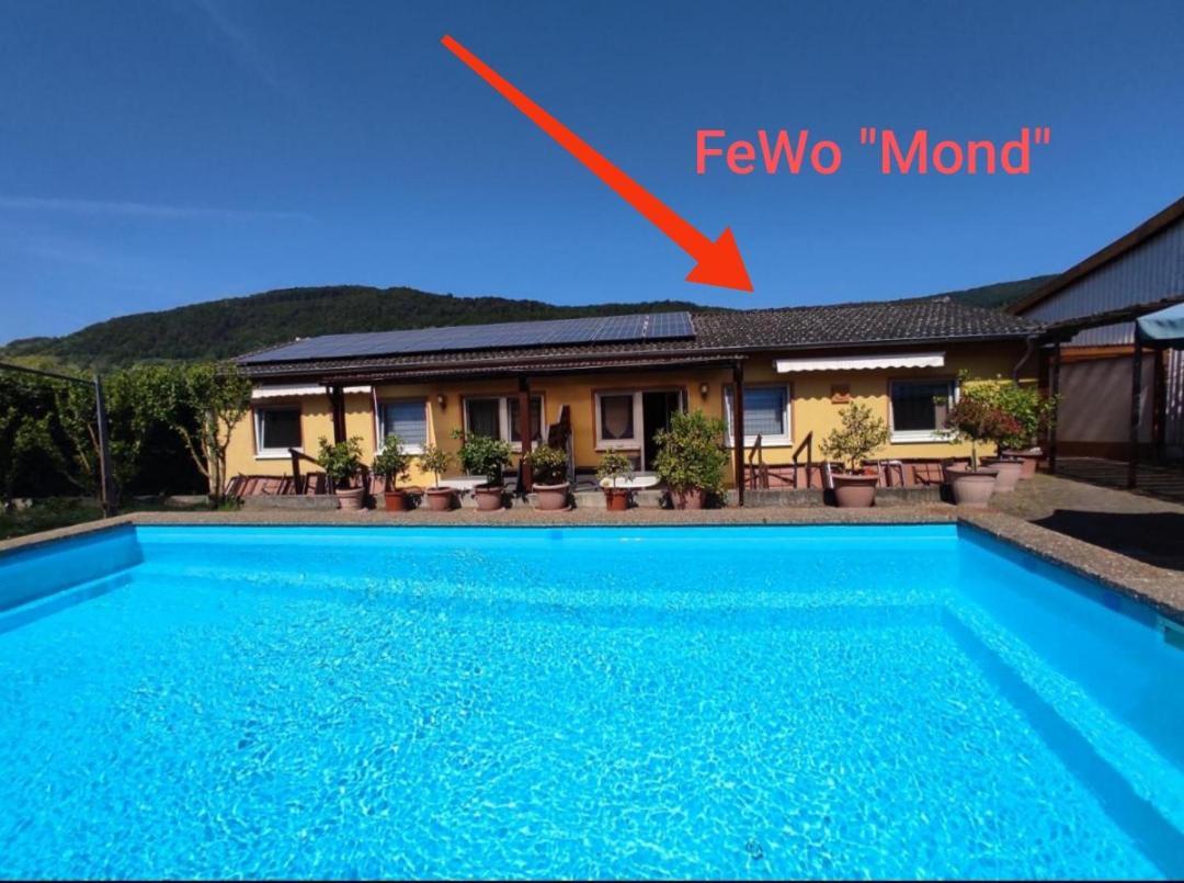温特里希Moselferienweingut Schaefer公寓 客房 照片