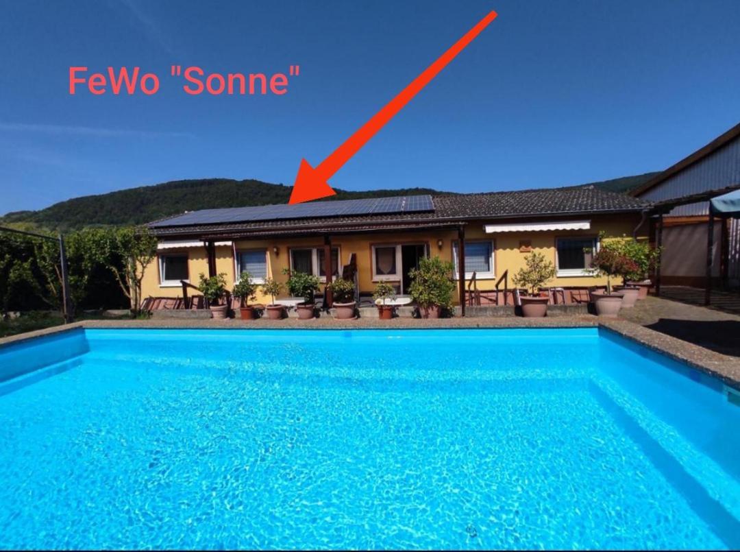 温特里希Moselferienweingut Schaefer公寓 客房 照片