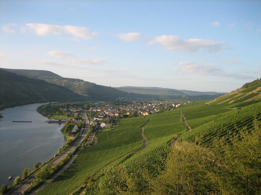 温特里希Moselferienweingut Schaefer公寓 外观 照片